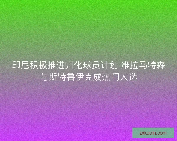 印尼积极推进归化球员计划 维拉马特森与斯特鲁伊克成热门人选 印尼积极推进归化球员计划 维拉马特森与斯特鲁伊克成热门人选